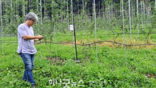 영주-1-3 농업인이 스마트폰으로 농작업 현황을 점검하고 있다.jpg