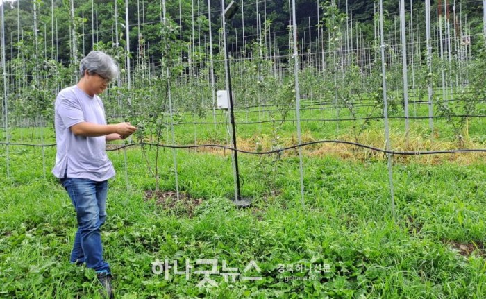 영주-1-3 농업인이 스마트폰으로 농작업 현황을 점검하고 있다.jpg