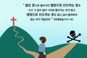 하나만평(경북하나신문 211호)