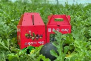 예천군농업기술센터, 지역 맞춤형 소과종 수박 홍보‧판매 행사 진행