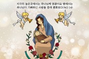 하나만평(경북하나신문 165호)