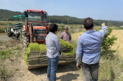 포항시, 벼농사에도 기후변화 위기 대응! ‘저탄소 논물관리기술’ 개척