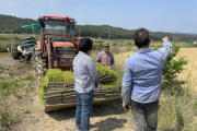포항시, 벼농사에도 기후변화 위기 대응! ‘저탄소 논물관리기술’ 개척