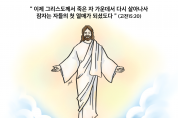 하나만평(경북하나신문 181호)