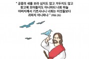 하나만평(경북하나신문 186호)