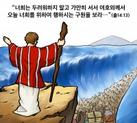 하나만평(경북하나신문 176호)