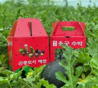 예천군농업기술센터, 지역 맞춤형 소과종 수박 홍보‧판매 행사 진행