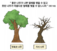 하나만평(경북하나신문 184호)