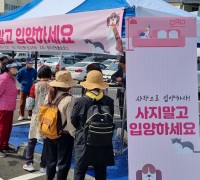 청도군 유기동물 입양 홍보 캠페인 개최