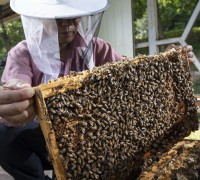 예천군 곤충연구소, 농가 실용화 산업곤충 연구 추진