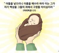 하나만평(경북하나신문 190호)